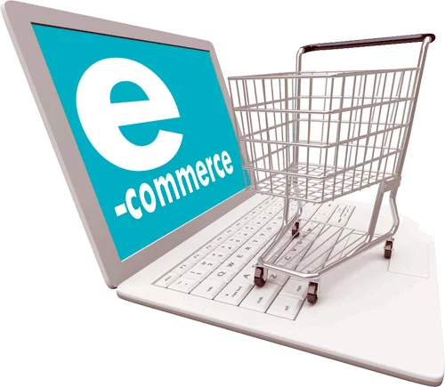e-commerce-caddie-det-500