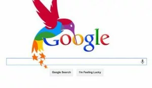 Google-colibri-referencement-local
